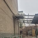 ���� �, �������, 41 ��� - ��������� 16 ������ 2024 � ������ ���� ����������