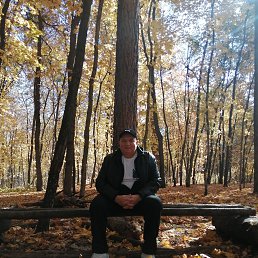 , 53 , 
