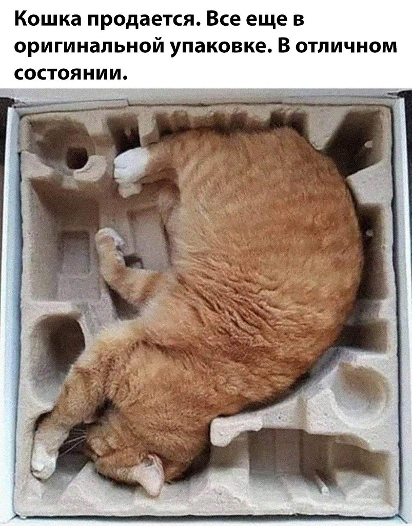 �����!