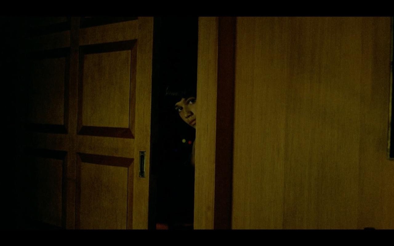    / Ainda estou aqui, 2024.dir. Walter Salles - 9