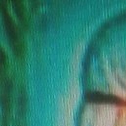 ���������, ������, 58 ���