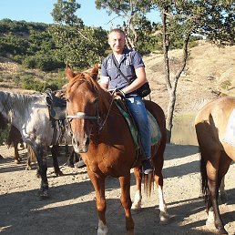 �������, ���������