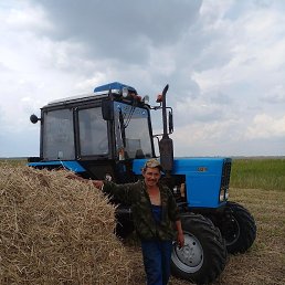 �����, �������, 38 ���