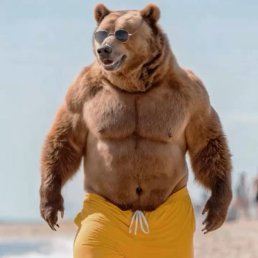 ���� �������, �����-���������, 55 ��� - ��������� 17 ������ 2026