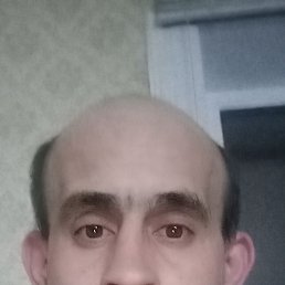 ����, 38 ���, ���������