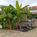 ���� �����, ������ - ��������� 24 ������� 2024 � ������ ���� ����������