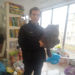 , 32, 