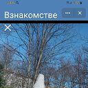 ���� ������ ��������, �����-���������, 67 ��� - ��������� 20 ������� 2025 � ������ ���� ����������