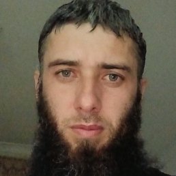 �������, ������, 37 ���