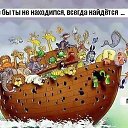 ���� �����, ���������, 55 ��� - ��������� 12 ���� 2026 � ������ ������ ��������