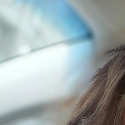 �����, ������, 41 ���