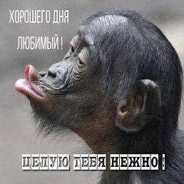 Viktor, ������, 49 ���