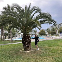 ������, �����������, 55 ���