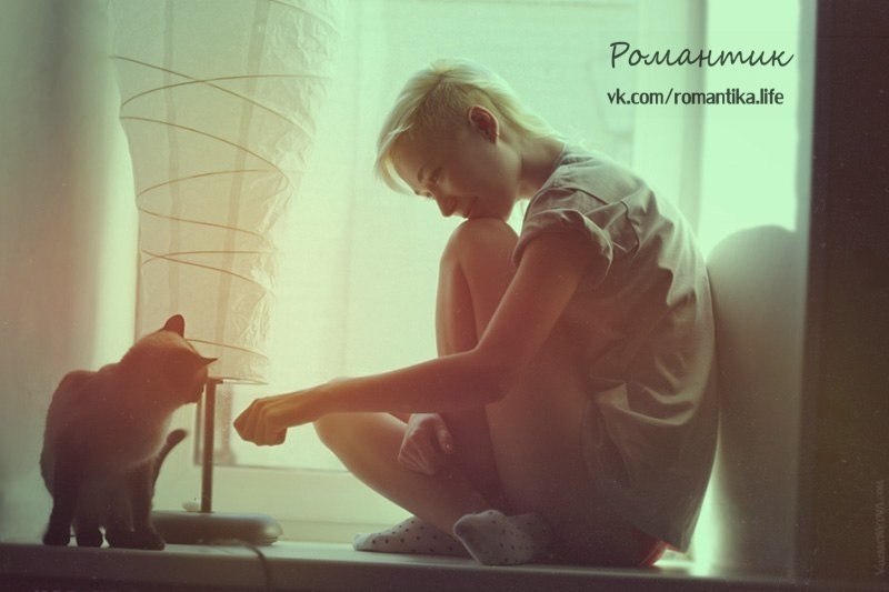 Ты ведь девочка образцовая,ну же,милая,погляди: У тебя голова свинцовая и холодная сталь в груди, У ...