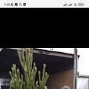 ���� ����, ���������, 44 ���� - ��������� 24 ������� 2023 � ������ ���� ����������