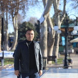 , 41, 