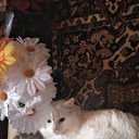 ���� �������, ����, 45 ��� - ��������� 29 �������� 2025 � ������ ���� ����������