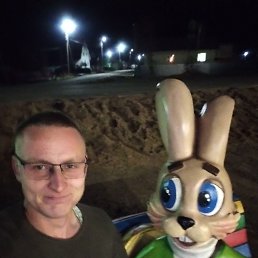 ����, 37 ���, �����������