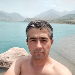, 42, 