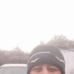 , 41, 