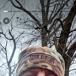 �������, 49 ���, ���������