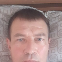 , 52 , 