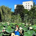 ���� �������, ���������, 50 ��� - ��������� 10 ���� 2024 � ������ ���� ����������