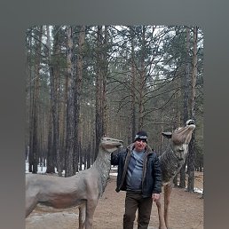 ���������, �����������, 56 ���