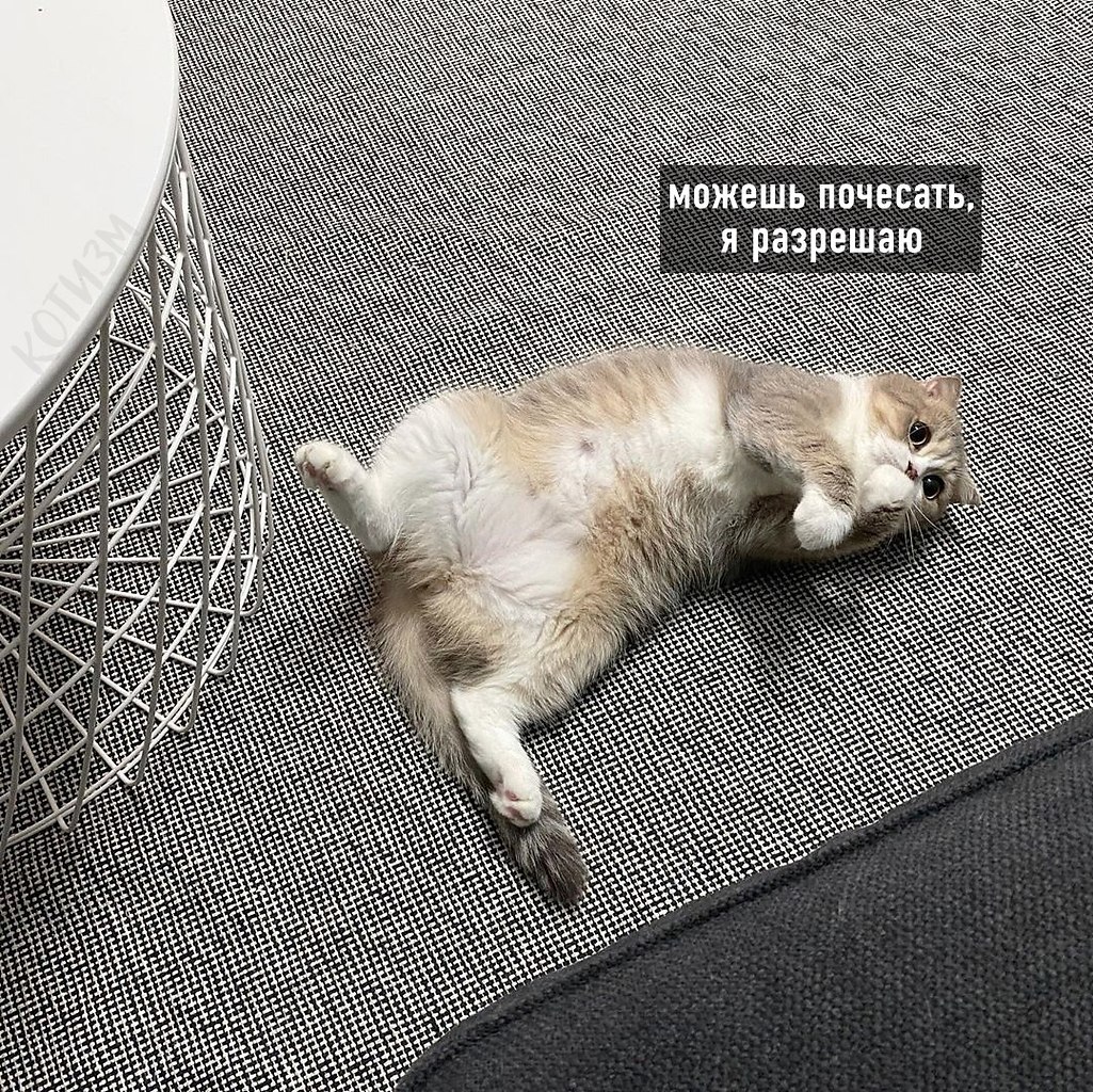 � ���� ������ ���������) - 4