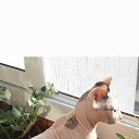  Boris, - -  13  2025    