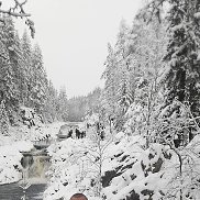 �����, 40 ���, �����