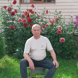 Vladimir, 65, 