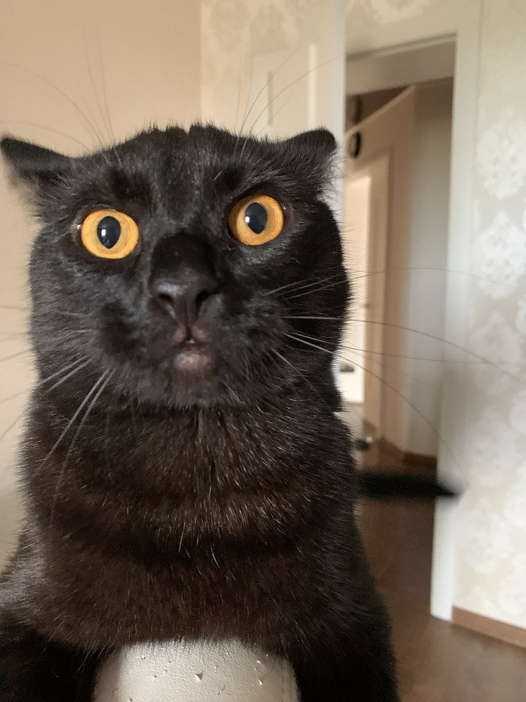 ������