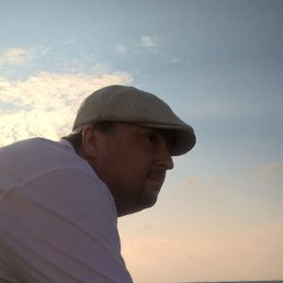 ������, 41 ���, ���������