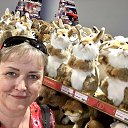 ���� �����, �����������, 55 ��� - ��������� 15 �������� 2024 � ������ ���� ����������