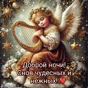 ���� ���������, �����-��������� - ��������� 15 ����� 2026 � ������ ���� ����������