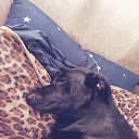 ���� Benvolio, ��������, 42 ���� - ��������� 18 ������ 2026 � ������ ������ ��������