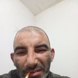 ������, 39 ���, ������