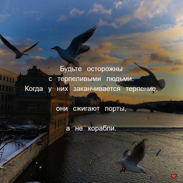 .�������. - 16 ������ 2025 � 16:18