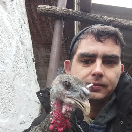 ����� ��������, 32 ����, ����