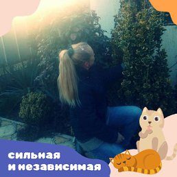  ��������, ������-��-����, 59 ���