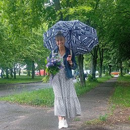 , 48, 