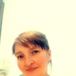 ����, �������, 41 ���