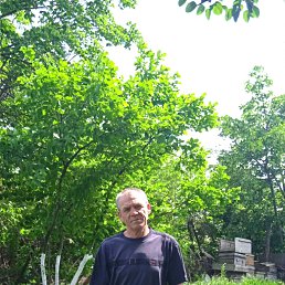 ���� ������, ������, 65 ��� - ��������� 4 ������ 2026