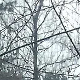 ����, �������, 47 ���