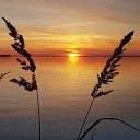 ���� �����, ������ ��������, 55 ��� - ��������� 6 ������ 2025 � ������ ���� ����������