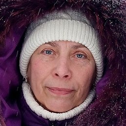 ���������, ���������, 62 ����