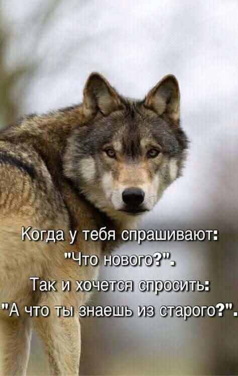 Katerinka - 22  2025  17:56