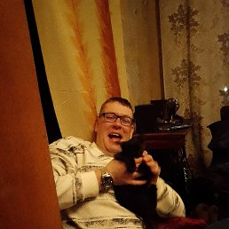 ����, 41 ���, ����