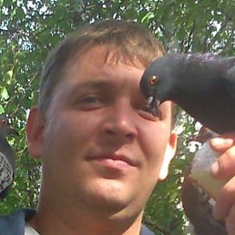 ����, �����-���������, 43 ����